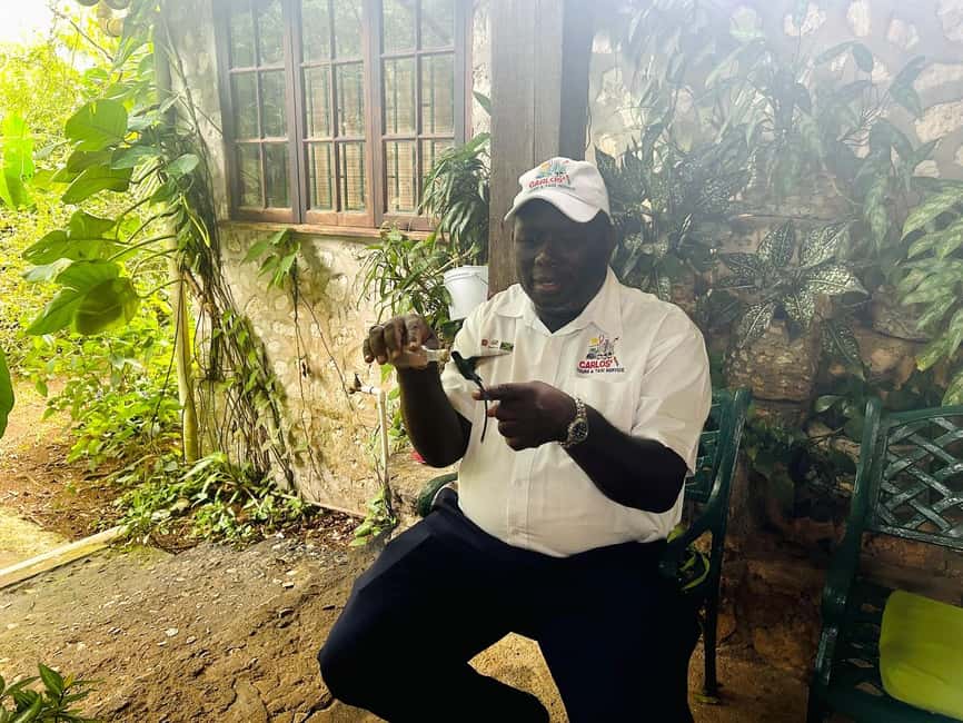 Montego Bay/Falmouth: Rockland Bird Sanctuary Private Tour - Practical Planning For Your Visit