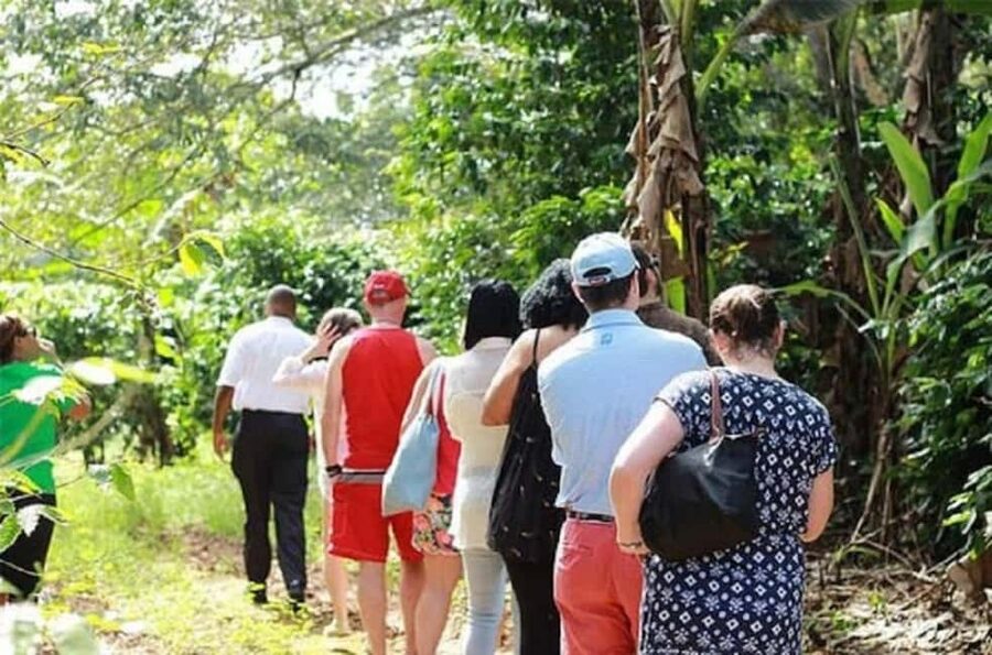 Montego bay Highlight Tour - My recommendation: book only after confirming the route