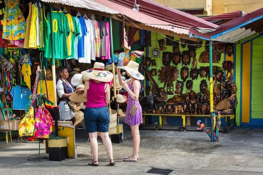 Montego bay Highlight Tour - Who will enjoy this experience most