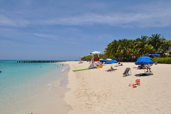 Montego Bay Highlights From Montego Bay Hotels - Timing, weather, and small planning details