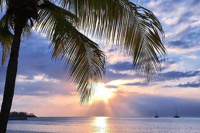 Montego Bay Highlights Tour from Montego Bay - Is $96.42 a fair price?
