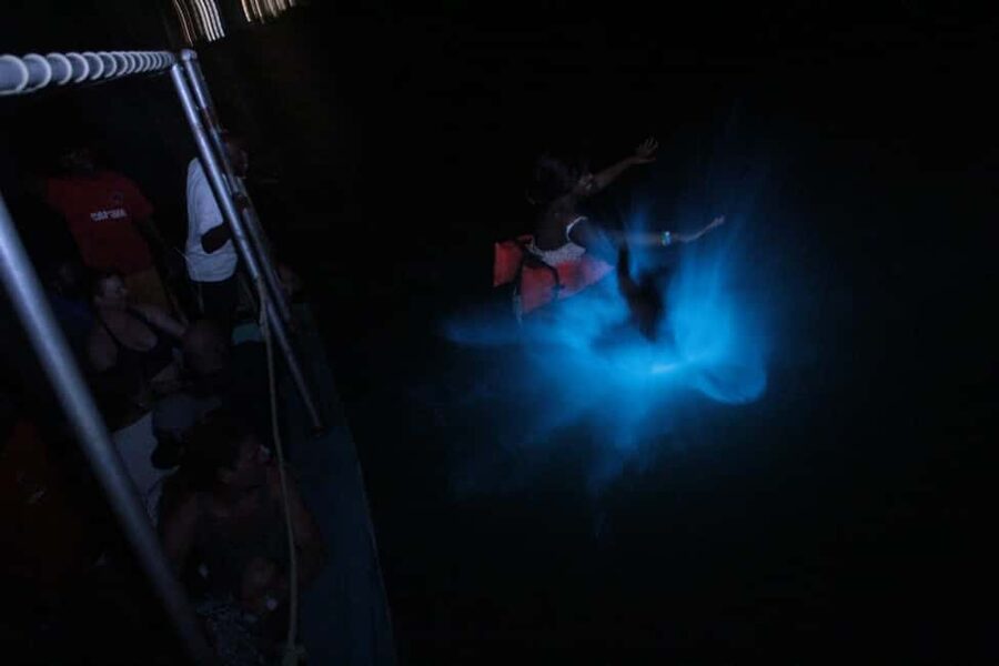 Montego Bay: Luminous Lagoon Evening Boat Tour - Why the Luminous Lagoon feels so unusual