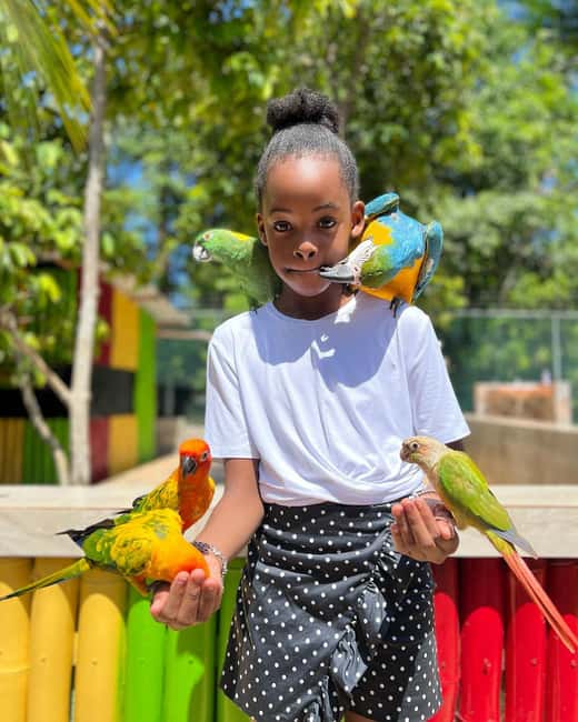Montego Bay: Marijuana Farm and Bird Sanctuary Tour - Who Will Enjoy This Tour Most