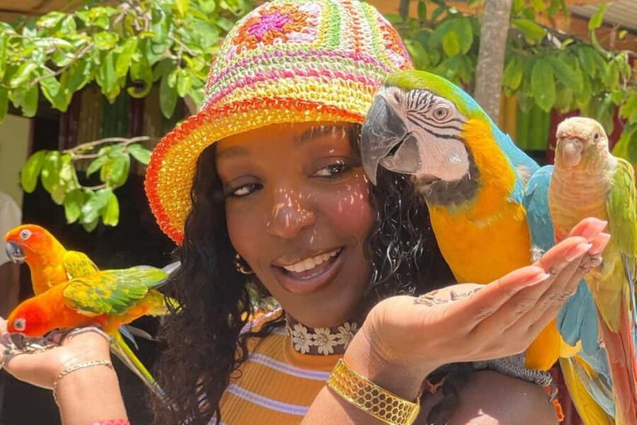 Montego Bay: Marijuana Farm and Bird Sanctuary Tour - Touching and Smelling the Marijuana Plants