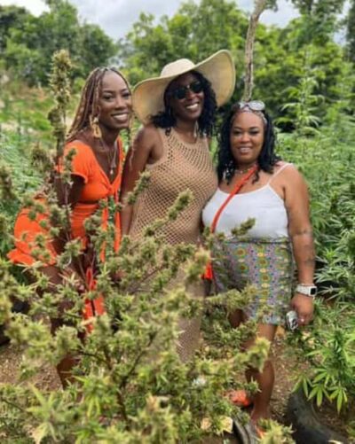 Marijuana Farm and Bird Sanctuary Tour