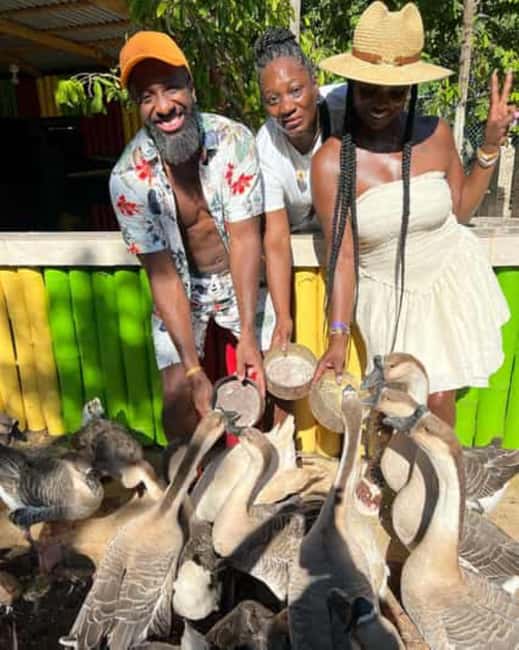 Montego Bay: Marijuana Farm and Bird Sanctuary Tour - Meeting the Exotic Birds