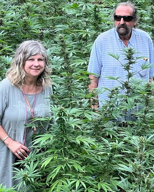 Montego Bay: Marijuana Farm Private Tour with Transportation - Getting Your Hands Dirty During Seasonal Farm Work