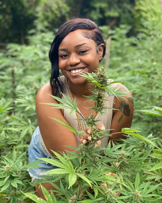 Montego Bay Marijuana Farm Tour - What This Montego Bay Farm Tour Is Really About