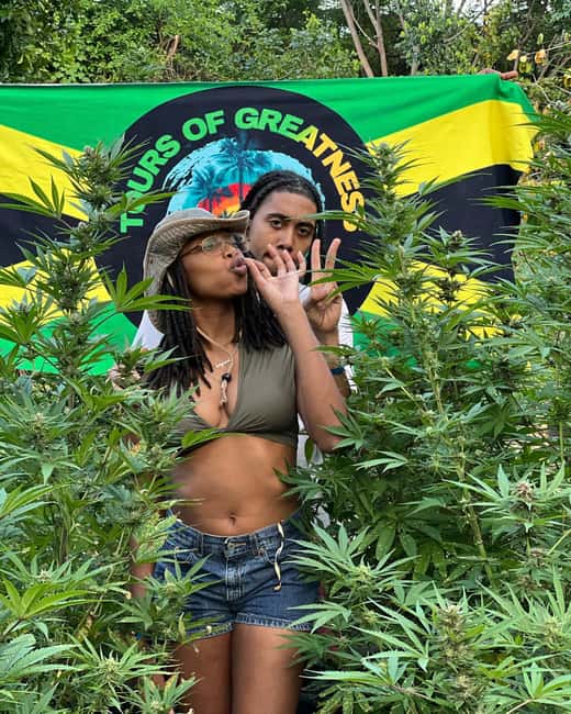 Montego Bay Marijuana Farm Tour - Walking Through the Fields