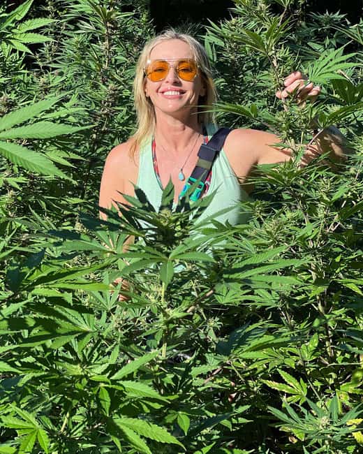 Montego Bay Marijuana Farm Tour - The Possible Sampling Invitation