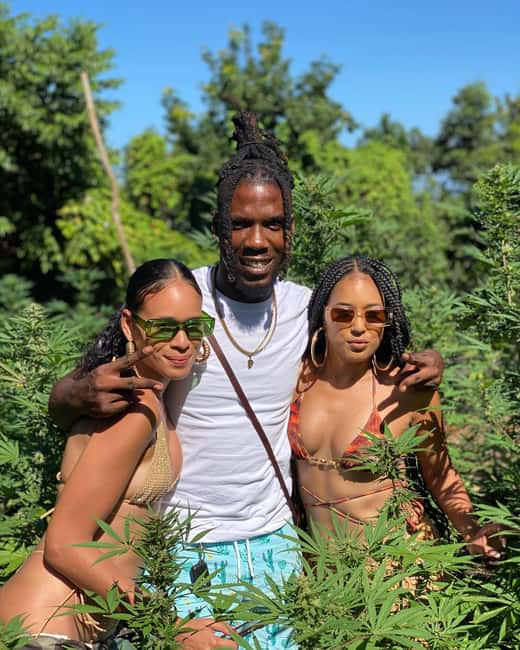 Montego Bay Marijuana Farm Tour - A Souvenir Stop Along the Way