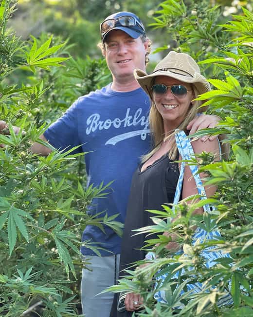 Montego Bay Marijuana Farm Tour - Is $140 Per Person Fair Value?