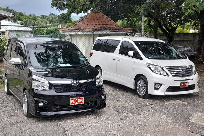 Montego Bay Private Airport Transfer - Who Will Like This Transfer Most?