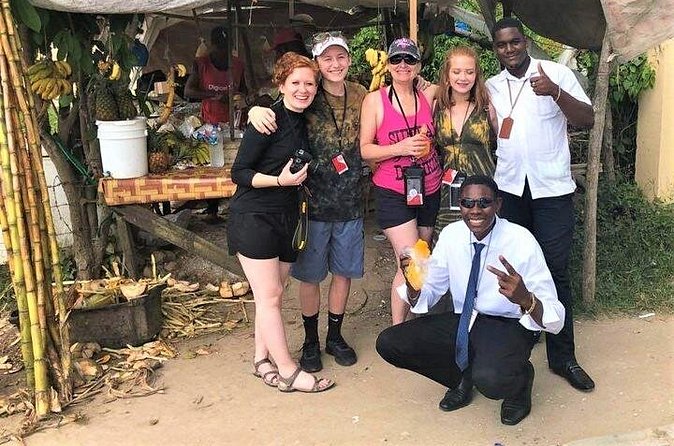 Montego Bay Private and Customized Highlights Day Tour - Comfort, group size, and special needs