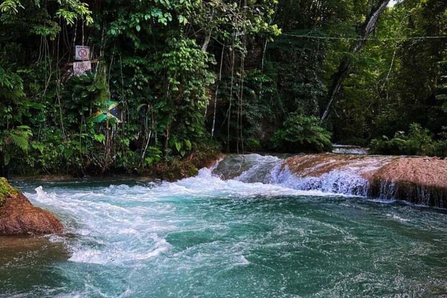 Montego Bay: Private Dunn's River Falls and Blue Hole Tour - Key points to know before you book