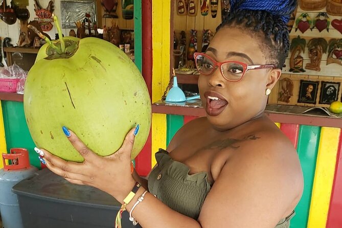 Montego Bay Private Highlights Tour with Pickup - Who will get the most from this private format