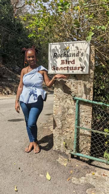 Montego Bay: Private Rocklands Bird Sanctuary Trip - Entering Rocklands Bird Sanctuary