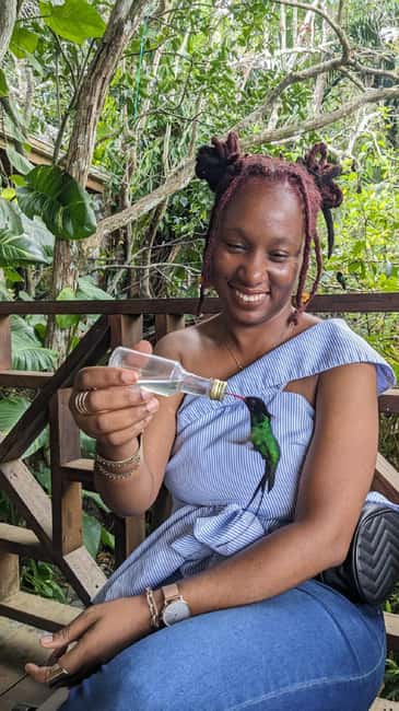Montego Bay: Private Rocklands Bird Sanctuary Trip - The two-hour guided walk through the woods