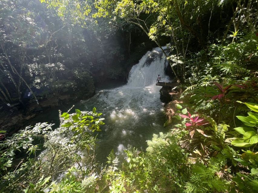 Montego Bay: Secret Falls And River Rapids Adventure - Rio Bueno and the Class II rapids