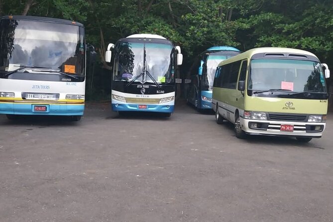 Montego Bay Shared Shuttle from Montego Bay Airport: One Way or Round Trip - Arrival service: how to make it work well