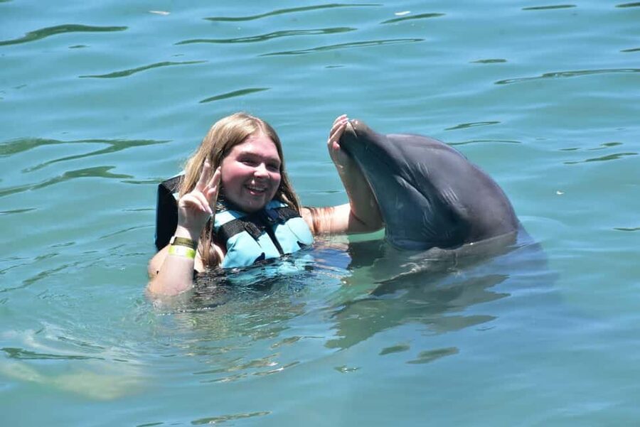 Montego Bay: Swim With The Dolphins Adventure in Lucea - Key points to know before you book