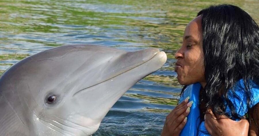 Montego Bay: Swim With The Dolphins Adventure in Lucea - Ninety-five minutes at Dolphin Cove Montego Bay