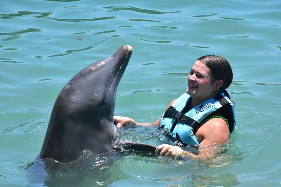 Montego Bay: Swim With The Dolphins Adventure in Lucea - Is $174 a fair price?