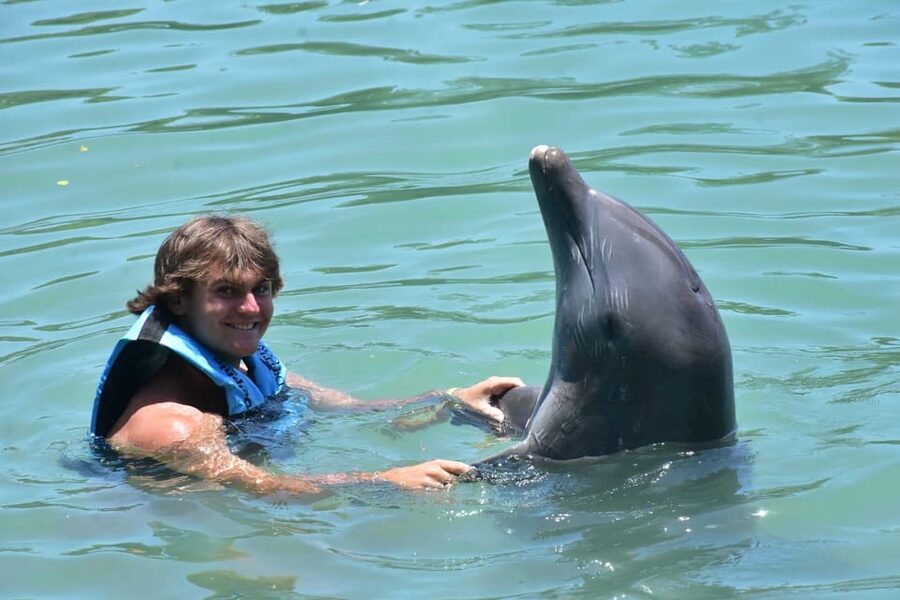 Montego Bay: Swim With The Dolphins Adventure in Lucea - What the available feedback tells me