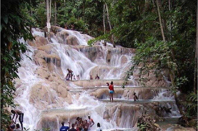 Montego Bay to Dunn's River Falls Half-Day Trip - Climbing the natural rock terraces