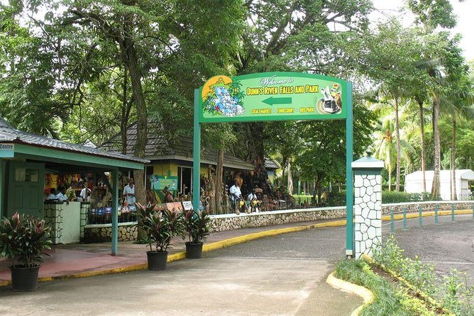 Montego Bay to Dunn's River Falls Half-Day Trip - How to prepare for a smoother day