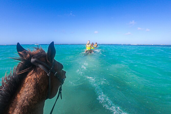 Montego Bay to Green Grotto Cave and River Tubing: Shared Tour - Who should book this shared tour?