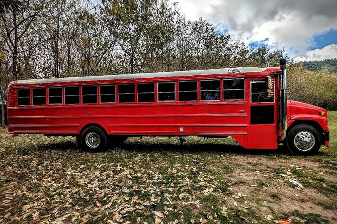 Montego Bay to Kingston PickUp & Drop-Off Service UP 20 PEOPLE - Hotel Transfers, Shopping, and Movie Nights