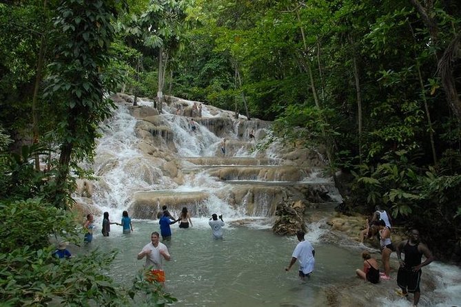 Montego Bay tour: Dunn's River Falls - Key points to know before booking