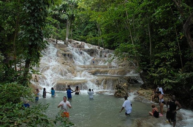 Montego Bay tour: Dunn's River Falls - What the driver-guide adds to the journey