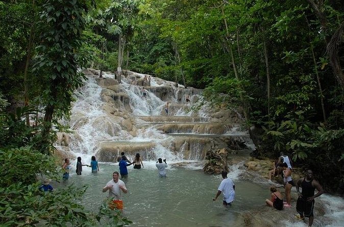 Montego Bay tour: Dunn's River Falls - Tickets, food, and the details to confirm