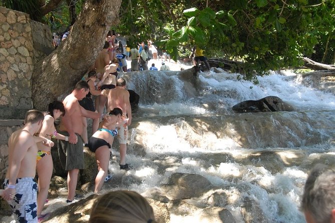 Montego Bay tour: Dunn's River Falls - Who will get the most from this six-hour outing?
