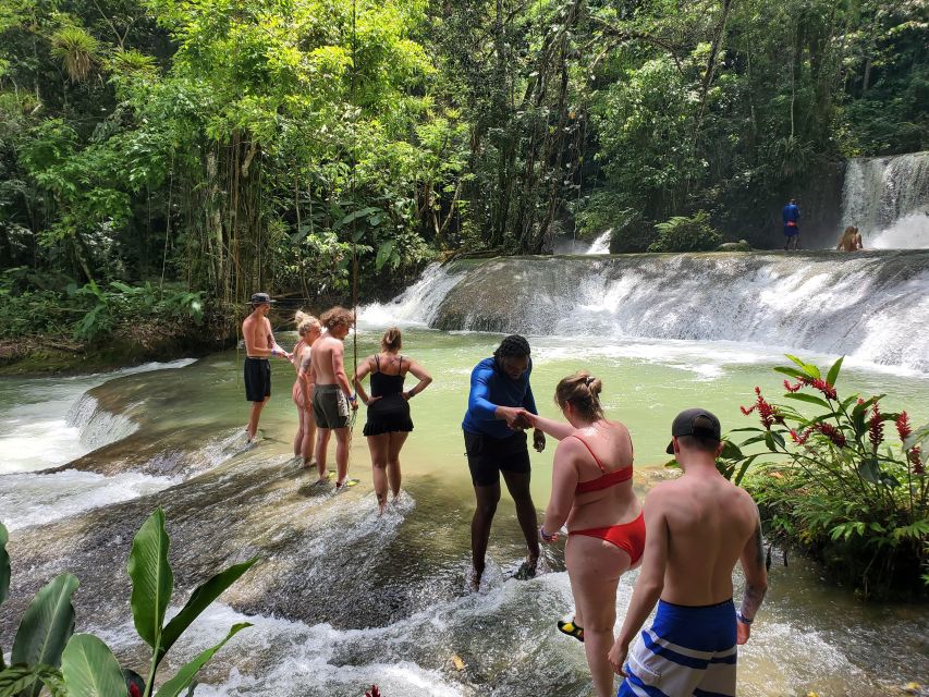 Montego Bay: YS Falls and Appleton Rum Private Tour by Van - Who should book this tour?