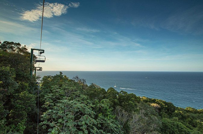 Mystic Mountain Zipline with Bobsled & Raggamuffin - Five ziplines through the Jamaican treetops