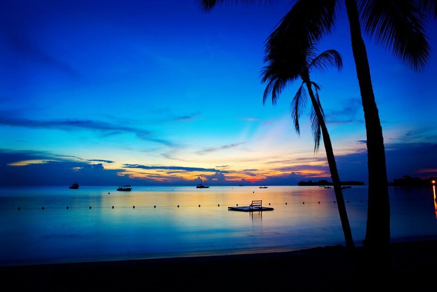 Negril 7-Hour Tour from Montego Bay - The Ride West from Montego Bay
