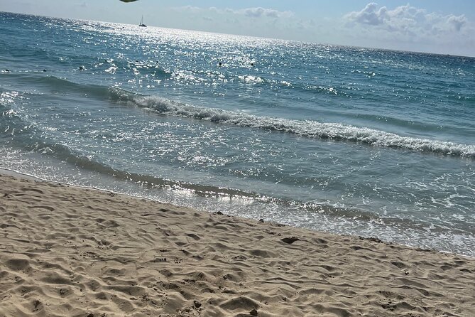 Negril 7 Mile Beach and Ricks Cafe Tour - A guide who shapes the day around you