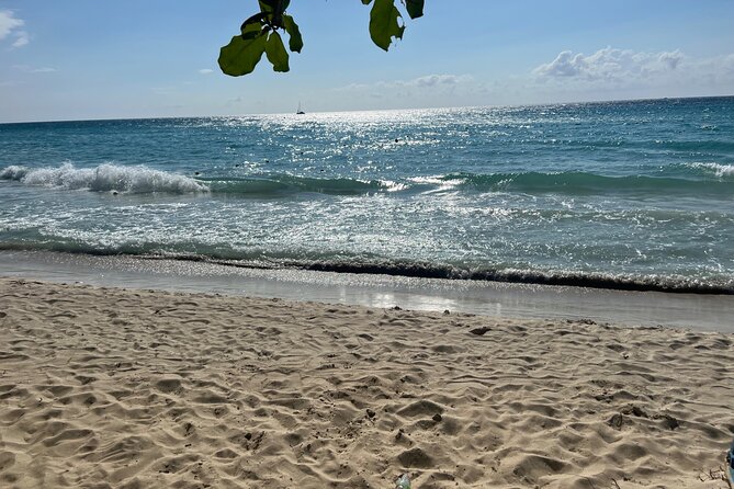Negril 7 Mile Beach and Ricks Cafe Tour - Should you book the 7 Mile Beach and Rick’s Cafe Tour?