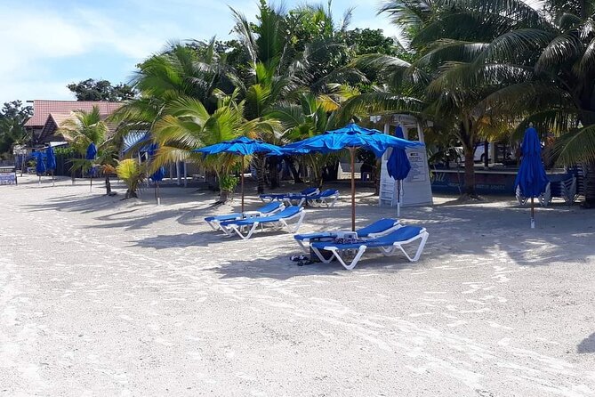 Negril 7 Miles Beach and Rick's Cafe Tour - Why the Montego Bay to Negril Trip Takes a Full Day