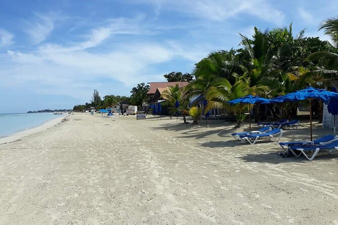 Negril 7 Miles Beach and Rick's Cafe Tour - A Comfortable Day, With Some Planning Required
