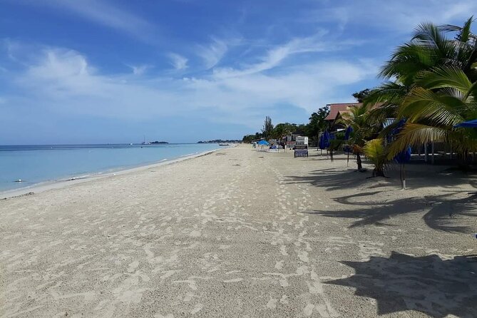Negril 7 Miles Beach and Rick's Cafe Tour - Who Will Enjoy This Negril Excursion