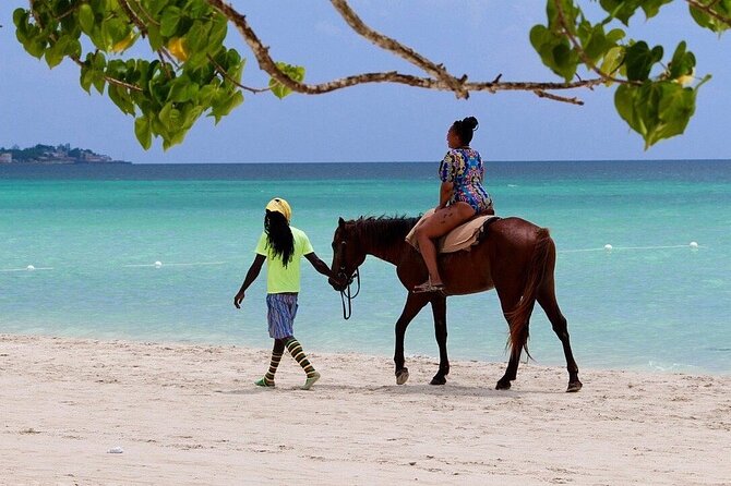 Negril Beach & Rick's Cafe Tour - Is $85.50 a Fair Price?