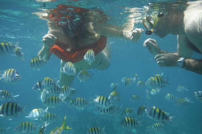 Negril Lobster Lunch on Booby Cay & Snorkeling To a Sunken Cannon - Key points to know before booking