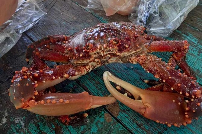 Negril Lobster Lunch on Booby Cay & Snorkeling To a Sunken Cannon - Crew service and the human side of the trip
