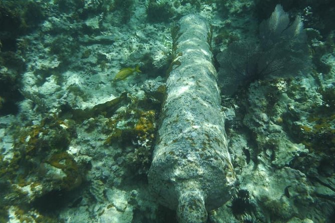 Negril Lobster Lunch on Booby Cay & Snorkeling To a Sunken Cannon - Who will enjoy this Negril excursion most