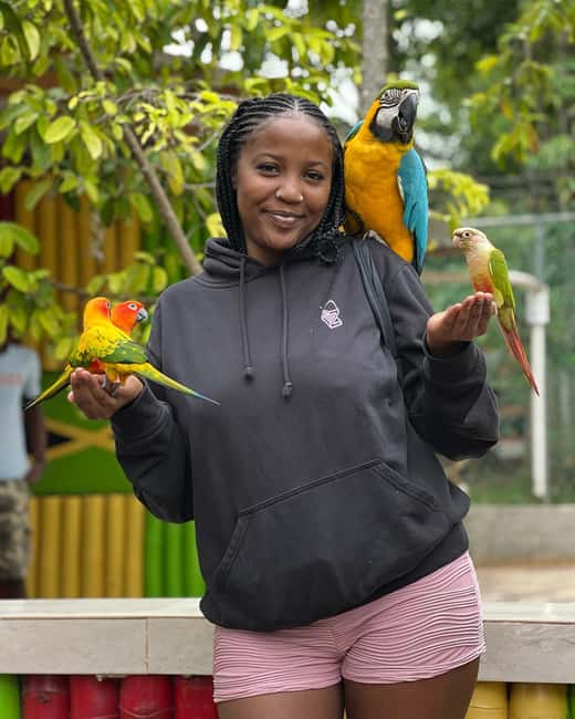 Negril Marijuana Farm and Mineral Spring Tour - Should You Book It?