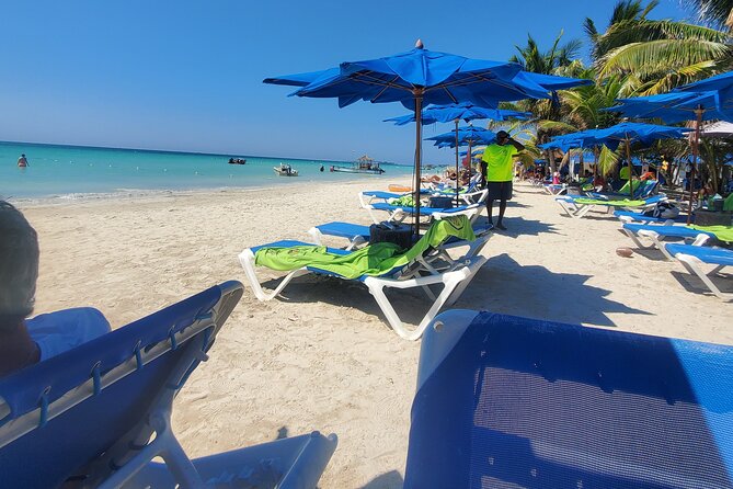 Negril Private 7 Miles Beach and Ricks Cafe Tour from Montego Bay - Who will enjoy this Negril day trip?